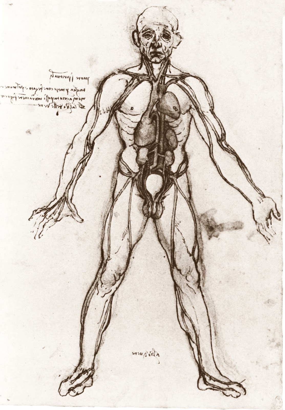 Leonardo+da+Vinci-1452-1519 (743).jpg